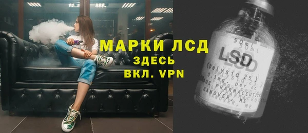 СК Алексин