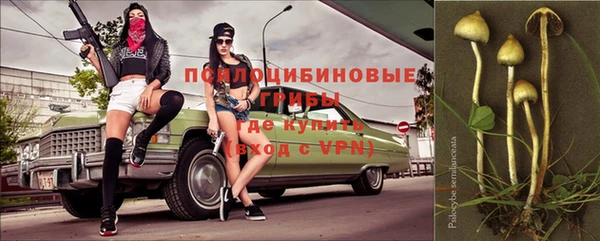 герыч Алексеевка
