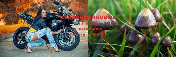 СК Алексин