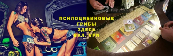 СК Алексин