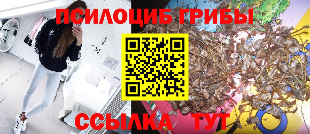 наркошоп  Псилоцибиновые грибы мухоморы  Березники  Вход с VPN  Псилоцибиновые грибы Psilocybine cubensis 